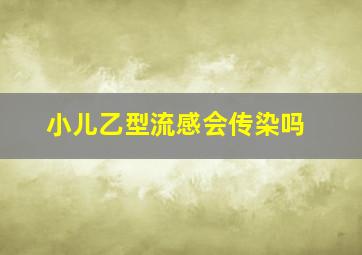 小儿乙型流感会传染吗