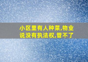 小区里有人种菜,物业说没有执法权,管不了