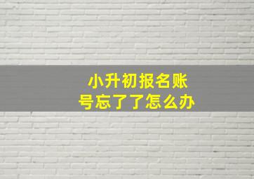 小升初报名账号忘了了怎么办