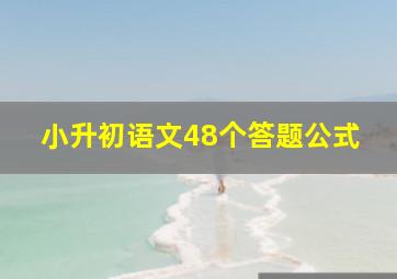 小升初语文48个答题公式