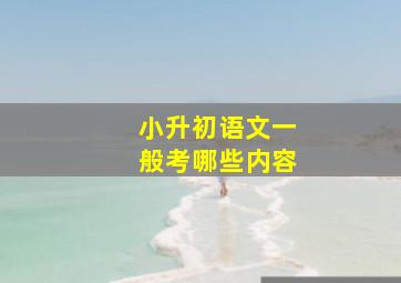 小升初语文一般考哪些内容