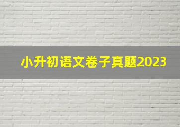 小升初语文卷子真题2023