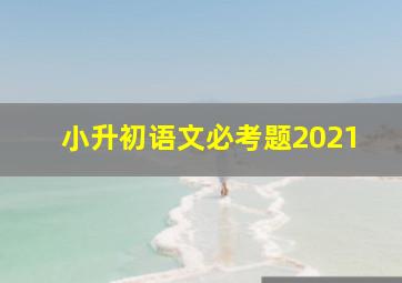 小升初语文必考题2021