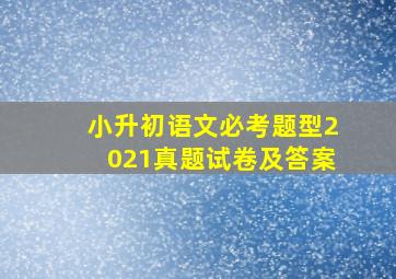 小升初语文必考题型2021真题试卷及答案