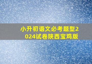 小升初语文必考题型2024试卷陕西宝鸡版