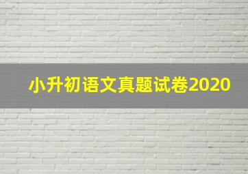 小升初语文真题试卷2020