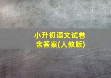 小升初语文试卷含答案(人教版)