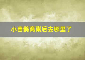 小喜鹊离巢后去哪里了