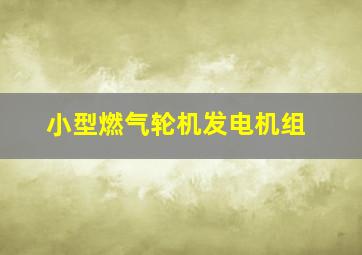 小型燃气轮机发电机组