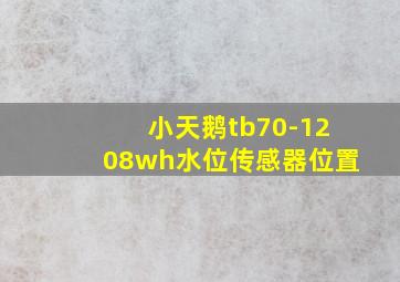 小天鹅tb70-1208wh水位传感器位置