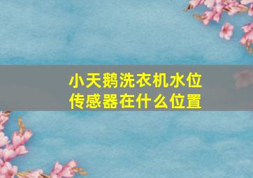 小天鹅洗衣机水位传感器在什么位置