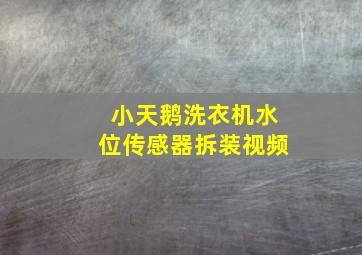 小天鹅洗衣机水位传感器拆装视频