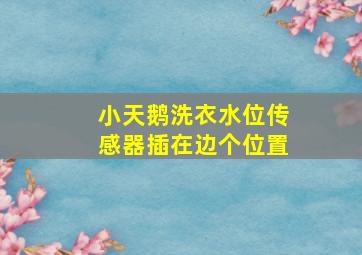 小天鹅洗衣水位传感器插在边个位置