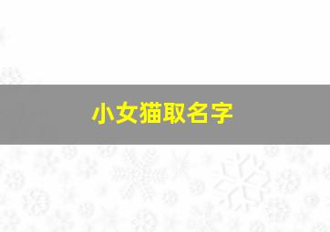 小女猫取名字