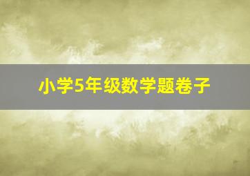 小学5年级数学题卷子