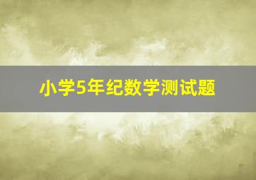 小学5年纪数学测试题