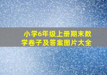 小学6年级上册期末数学卷子及答案图片大全