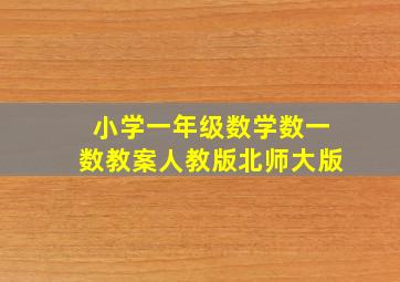 小学一年级数学数一数教案人教版北师大版