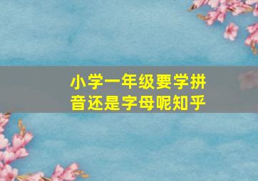 小学一年级要学拼音还是字母呢知乎