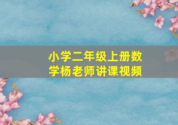 小学二年级上册数学杨老师讲课视频