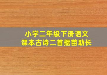 小学二年级下册语文课本古诗二首揠苗助长