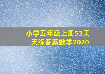 小学五年级上册53天天练答案数学2020