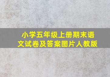 小学五年级上册期末语文试卷及答案图片人教版