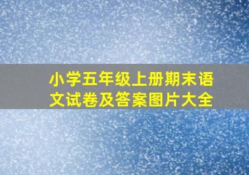 小学五年级上册期末语文试卷及答案图片大全