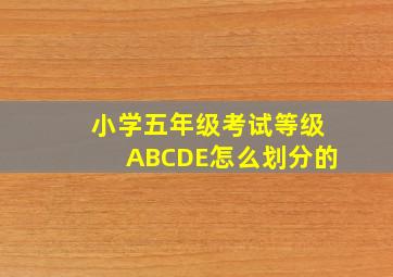 小学五年级考试等级ABCDE怎么划分的