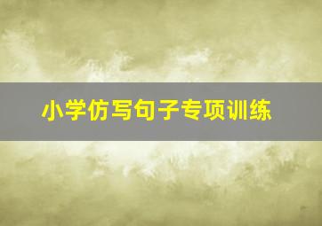 小学仿写句子专项训练