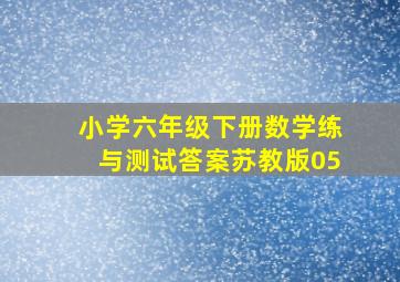 小学六年级下册数学练与测试答案苏教版05