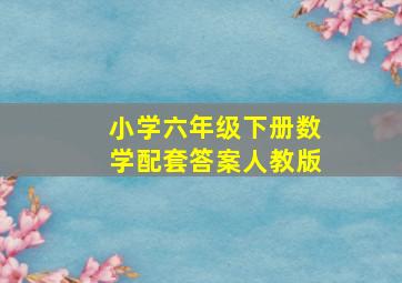 小学六年级下册数学配套答案人教版