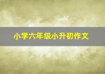 小学六年级小升初作文