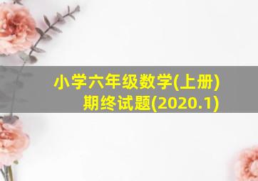 小学六年级数学(上册)期终试题(2020.1)