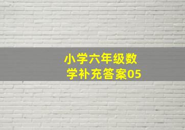 小学六年级数学补充答案05