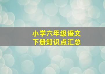 小学六年级语文下册知识点汇总