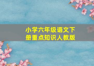 小学六年级语文下册重点知识人教版