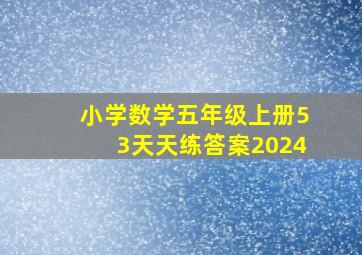 小学数学五年级上册53天天练答案2024