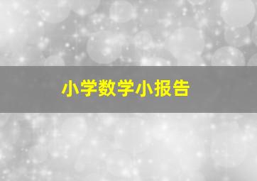 小学数学小报告