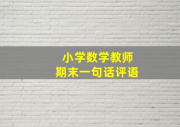 小学数学教师期末一句话评语