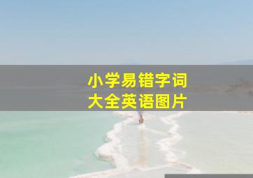 小学易错字词大全英语图片