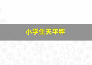 小学生天平秤