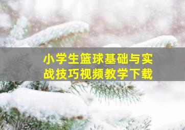 小学生篮球基础与实战技巧视频教学下载