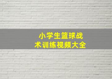 小学生篮球战术训练视频大全