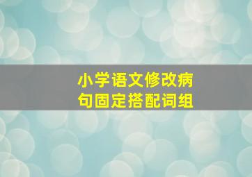 小学语文修改病句固定搭配词组