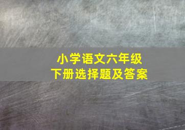 小学语文六年级下册选择题及答案