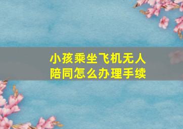 小孩乘坐飞机无人陪同怎么办理手续