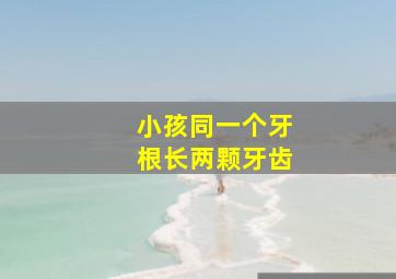 小孩同一个牙根长两颗牙齿