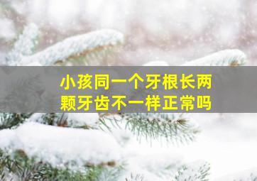 小孩同一个牙根长两颗牙齿不一样正常吗