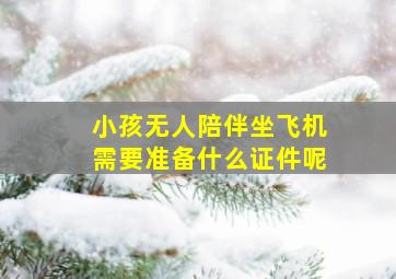 小孩无人陪伴坐飞机需要准备什么证件呢